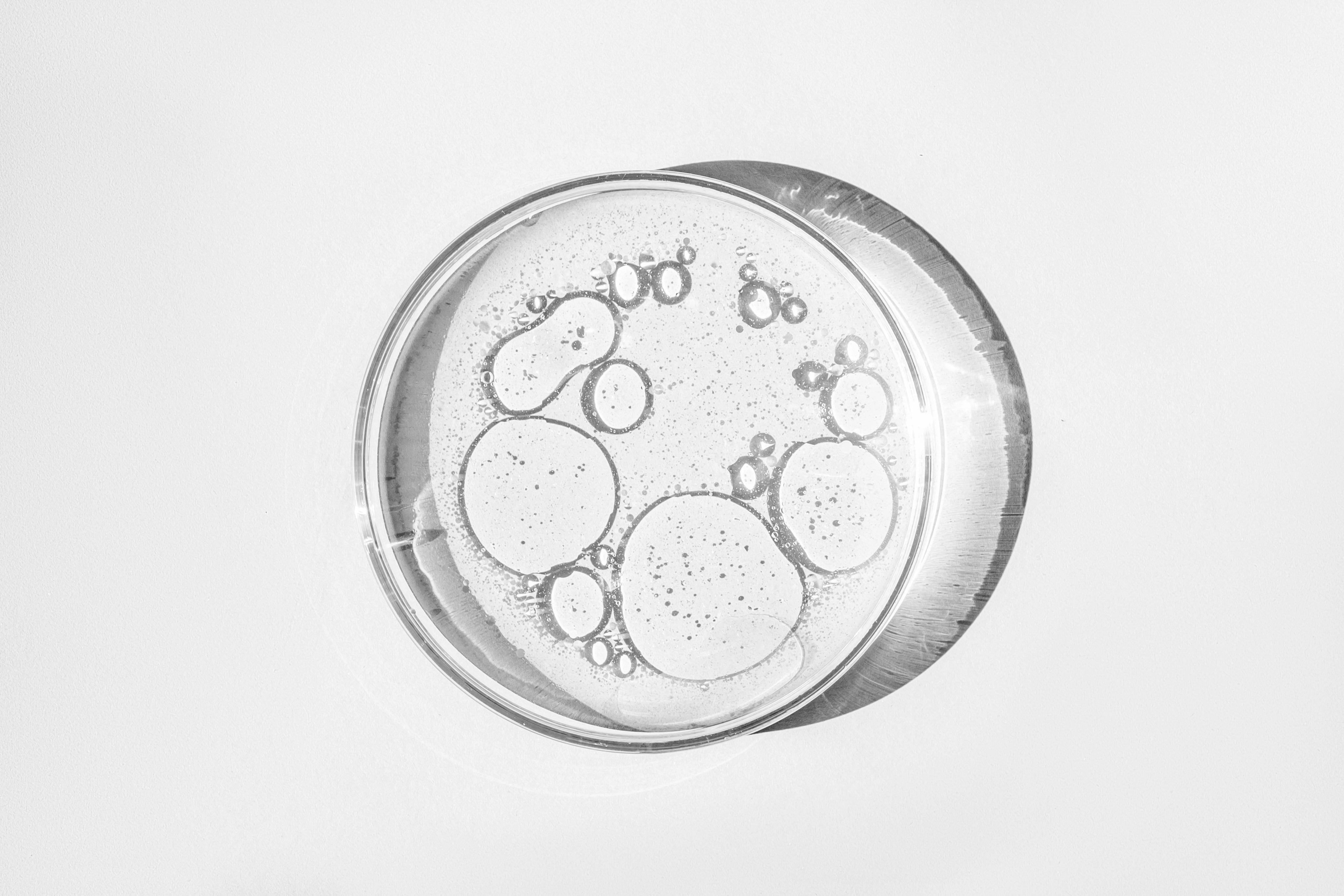petri-dish-petri-s-cup-with-liquid-chemical-elements-oil-cosmetics-gel-water-molecules-viruses-closeup-white-background-2.jpg