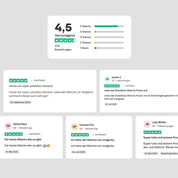 Contest Grade Matcha